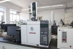 人平易近网股份有限公司版权