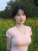各地各连系全市道交通平安现实