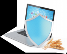 结合国将每年的6月7日定为“世品平安日”